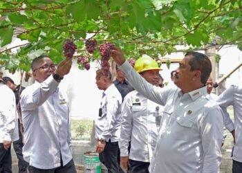 Istana Apresiasi Transformasi Nusakambangan: Dari Pulau Penjara Menuju Pusat Ketahanan Pangan