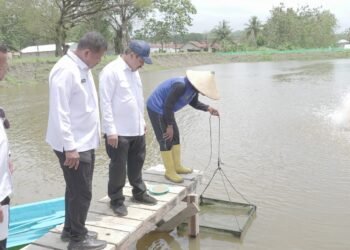 Nusakambangan Siap Jadi Lumbung Pangan: Menteri Agus Resmikan Program Ketahanan Pangan