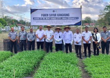Lapas Atambua Panen Sayur Kangkung, Warga Binaan Produktif Dukung Ketahanan Pangan Nasional