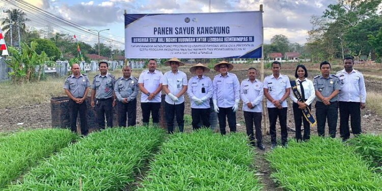 Lapas Atambua Panen Sayur Kangkung, Warga Binaan Produktif Dukung Ketahanan Pangan Nasional