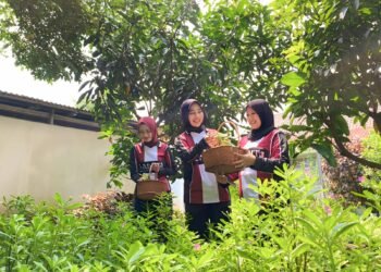 Lapas Tangerang Panen Ginseng: Bukti Warga Binaan Bisa Mandiri dan Produktif!