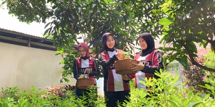 Lapas Tangerang Panen Ginseng: Bukti Warga Binaan Bisa Mandiri dan Produktif!