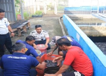 Panen Lele Lapas Pemuda Madiun Capai 61 Kg, Dukung Kemandirian Pangan Warga Binaan